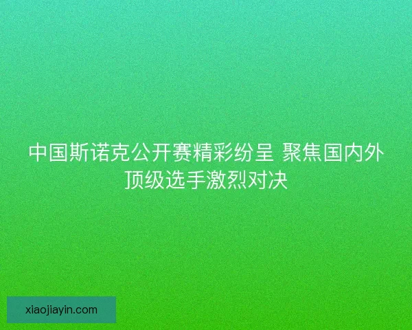 中国斯诺克公开赛精彩纷呈 聚焦国内外顶级选手激烈对决 中国斯诺克公开赛精彩纷呈 聚焦国内外顶级选手激烈对决