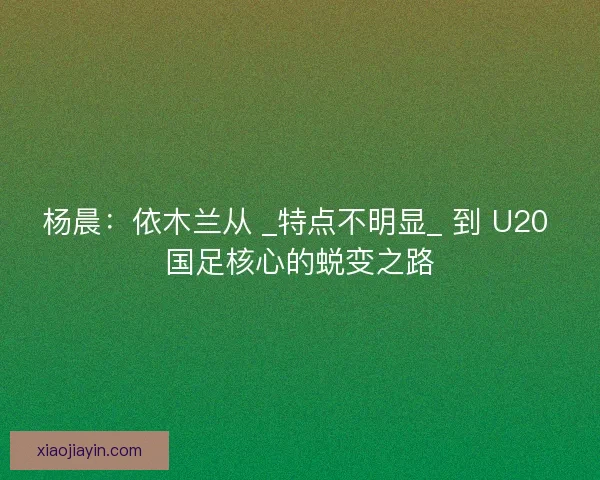 杨晨：依木兰从 _特点不明显_ 到 U20 国足核心的蜕变之路