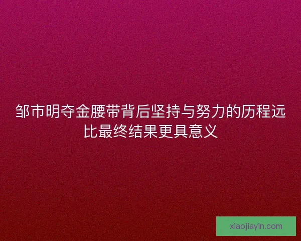 邹市明夺金腰带背后坚持与努力的历程远比最终结果更具意义