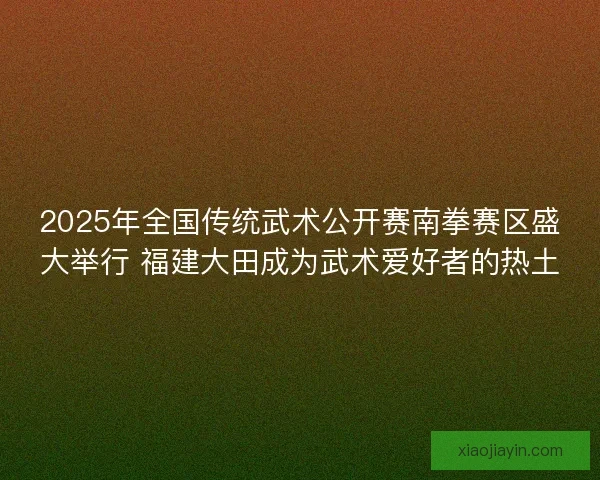 2025年全国传统武术公开赛南拳赛区盛大举行 福建大田成为武术爱好者的热土