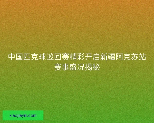 中国匹克球巡回赛精彩开启新疆阿克苏站赛事盛况揭秘