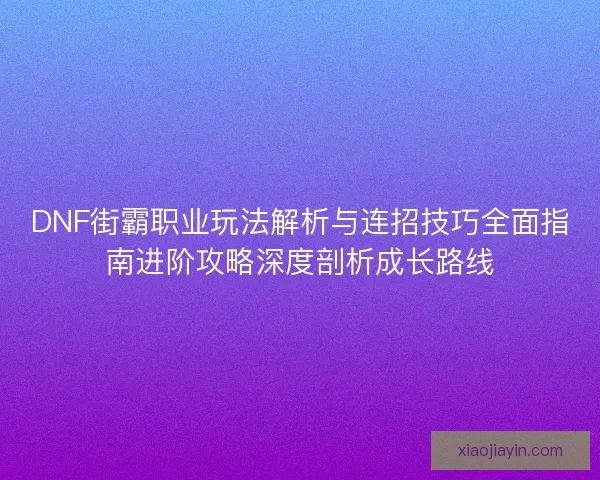 DNF街霸职业玩法解析与连招技巧全面指南进阶攻略深度剖析成长路线
