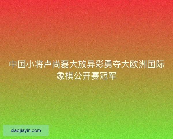 中国小将卢尚磊大放异彩勇夺大欧洲国际象棋公开赛冠军