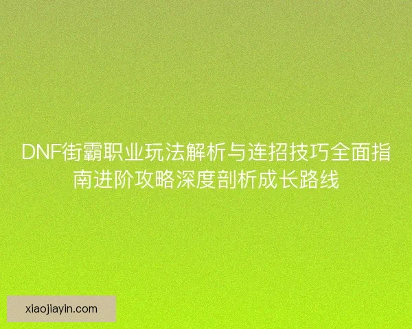 DNF街霸职业玩法解析与连招技巧全面指南进阶攻略深度剖析成长路线 DNF街霸职业玩法解析与连招技巧全面指南进阶攻略深度剖析成长路线